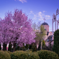 Hram Sv. Vasilija Ostroškog